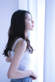 Lady宝石宠物