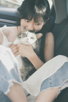 金牌律师电视剧